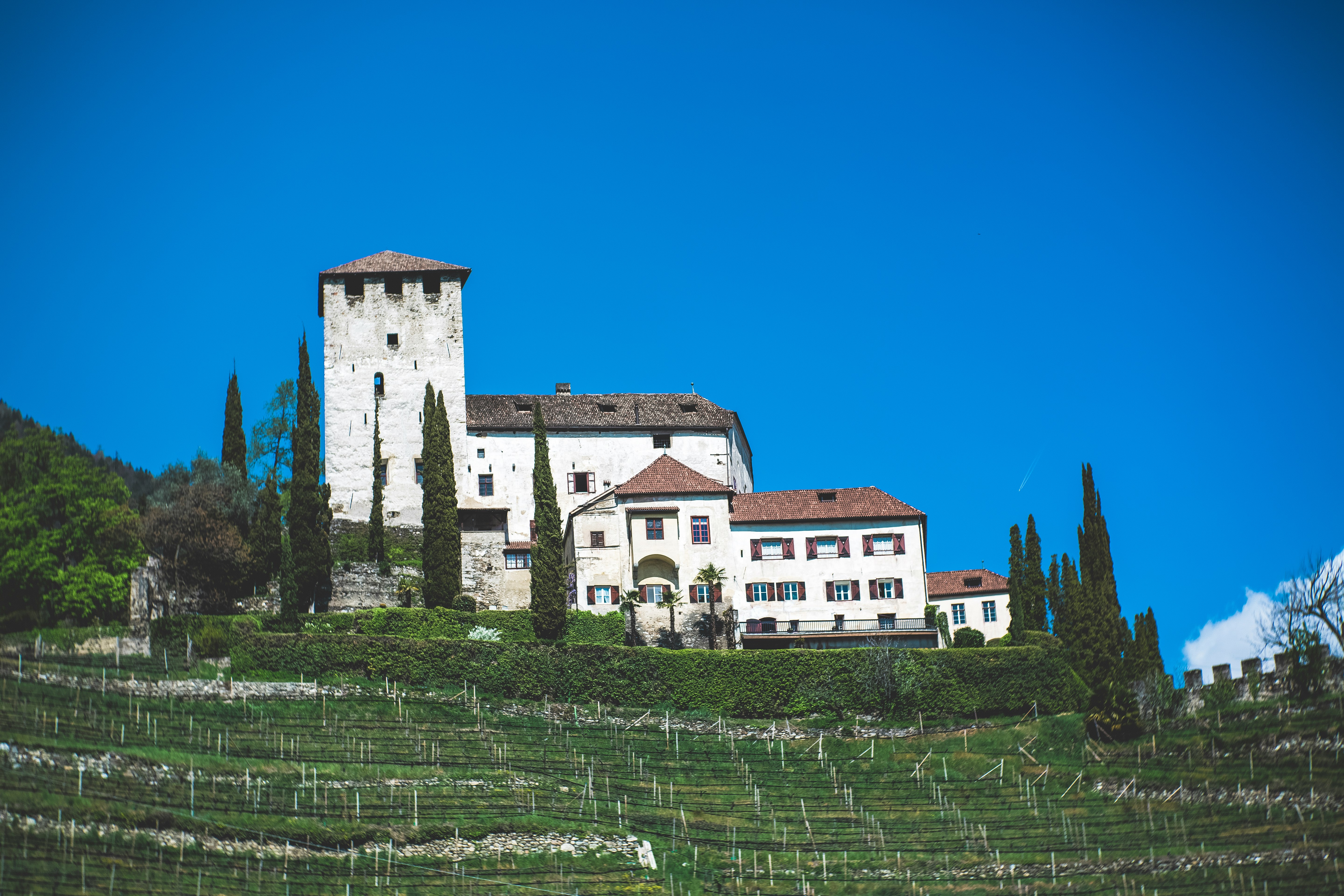 white and brown house in vineyard